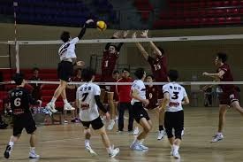 法比奥：能拿到金靴是队友的支持，希望把喜悦延续到足协杯